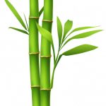 Carta realizzata con fibre di bambù