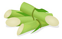 Carta prodotta con scarti agricoli della canna da zucchero