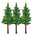 Carta "tree free", realizzata senza l'impiego di alberi ma solo scarti agricoli