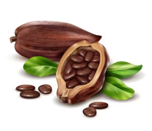 immagine cacao