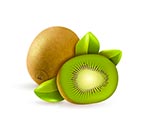 immagine kiwi