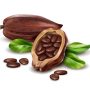 immagine cacao