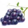 Carta realizzata con scarti agricoli dell'uva