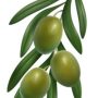 Immagine olive